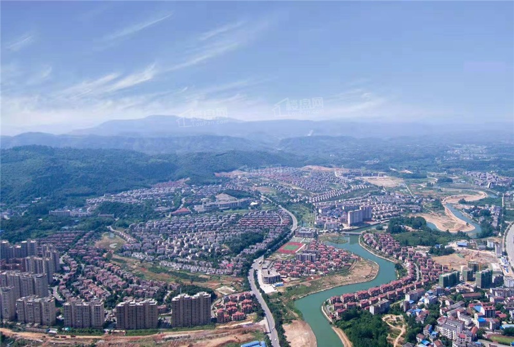 碧桂園.jpg